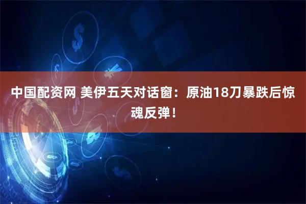 中国配资网 美伊五天对话窗：原油18刀暴跌后惊魂反弹！
