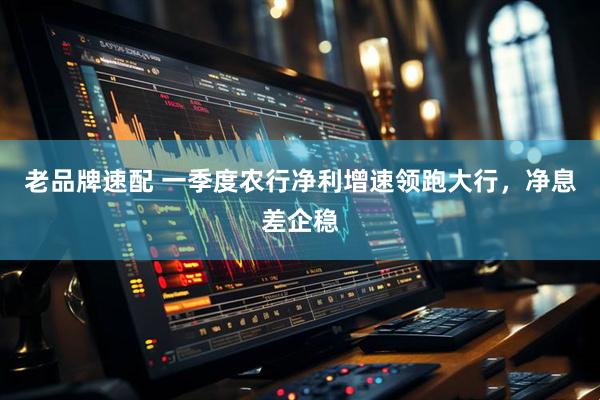 老品牌速配 一季度农行净利增速领跑大行，净息差企稳