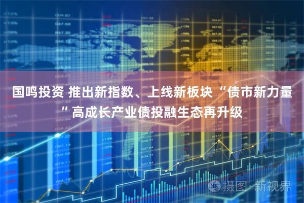 国鸣投资 推出新指数、上线新板块 “债市新力量”高成长产业债投融生态再升级