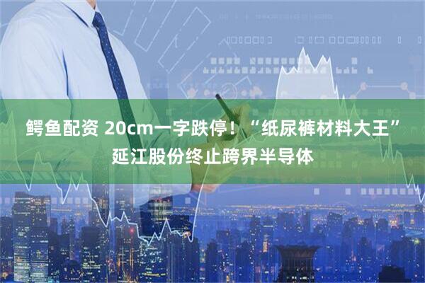 鳄鱼配资 20cm一字跌停！“纸尿裤材料大王”延江股份终止跨界半导体