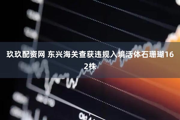 玖玖配资网 东兴海关查获违规入境活体石珊瑚162株